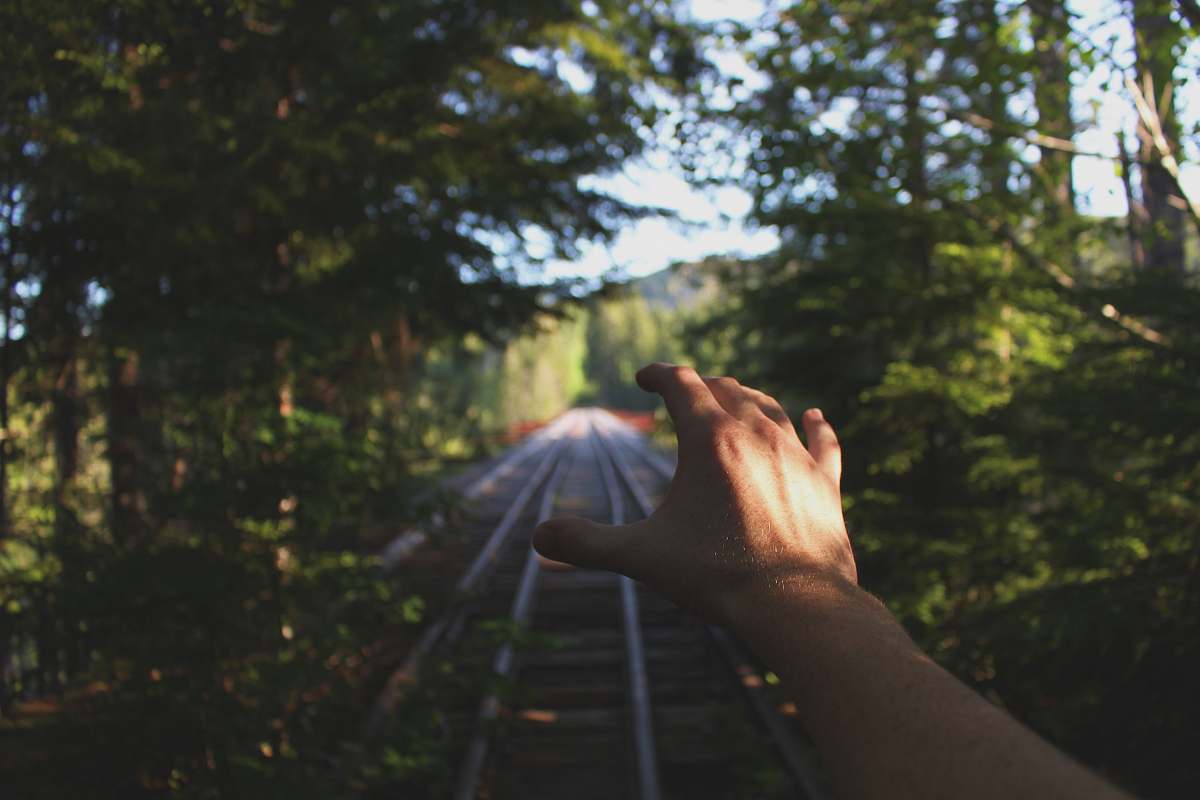 forest person reaching train railways between trees nature