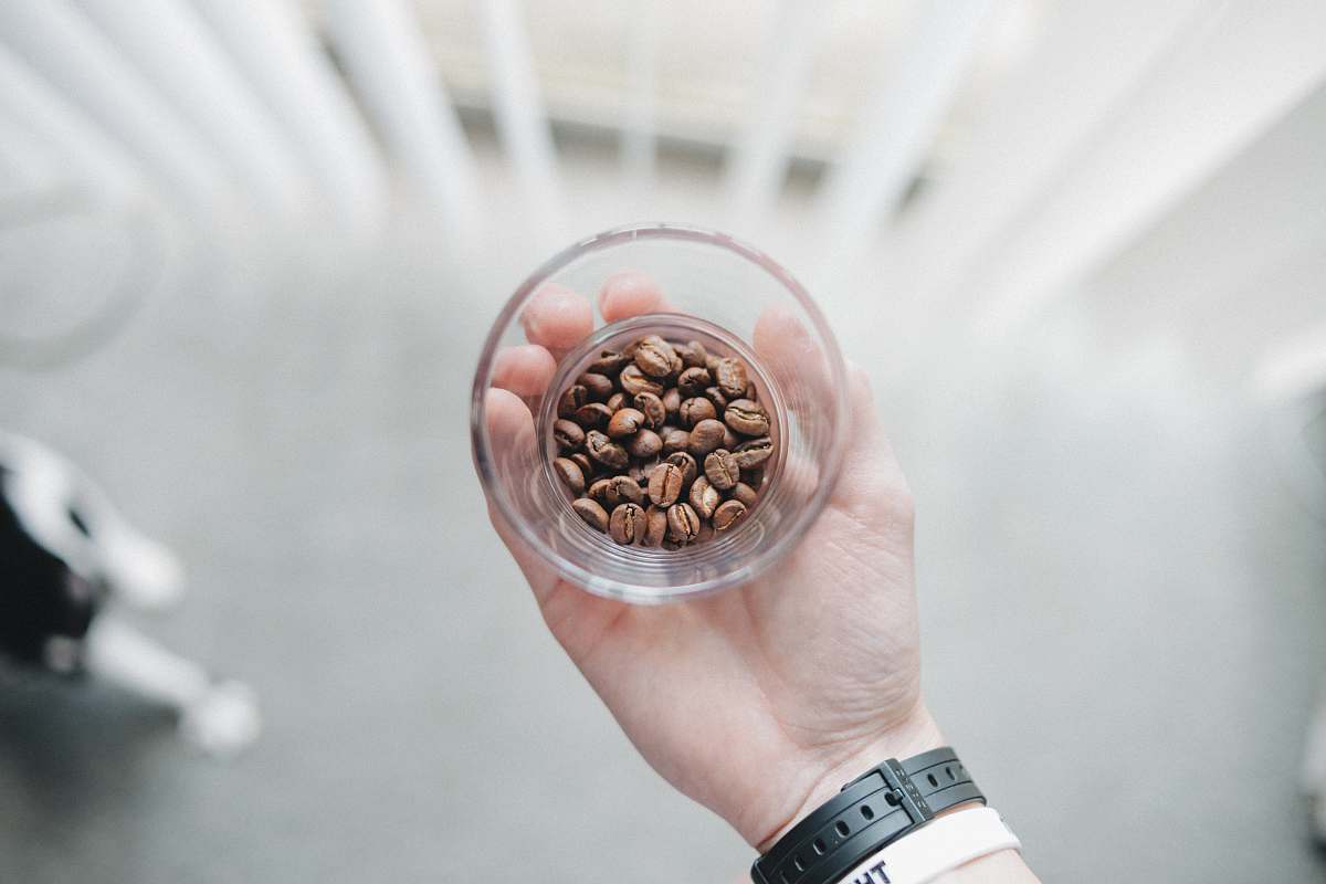 human person holding clear drinking glass with filled of coffee beans plant