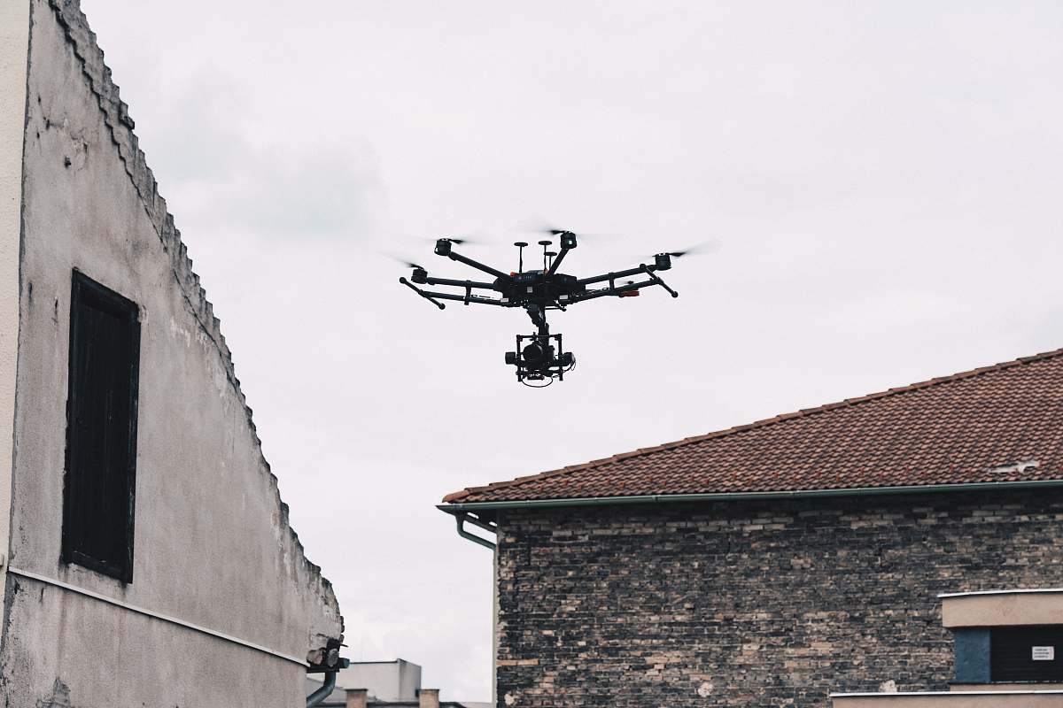 bird black video drone flying
