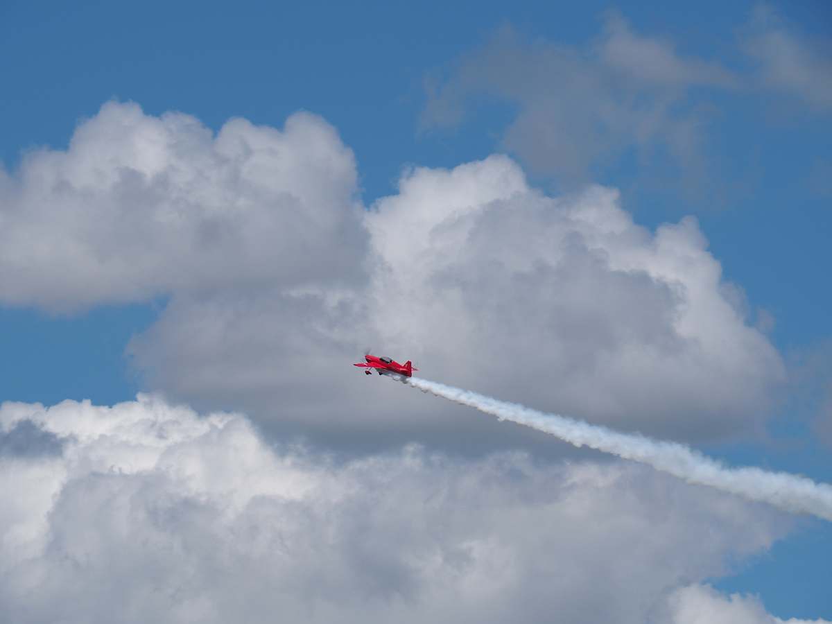 bird red biplane flying
