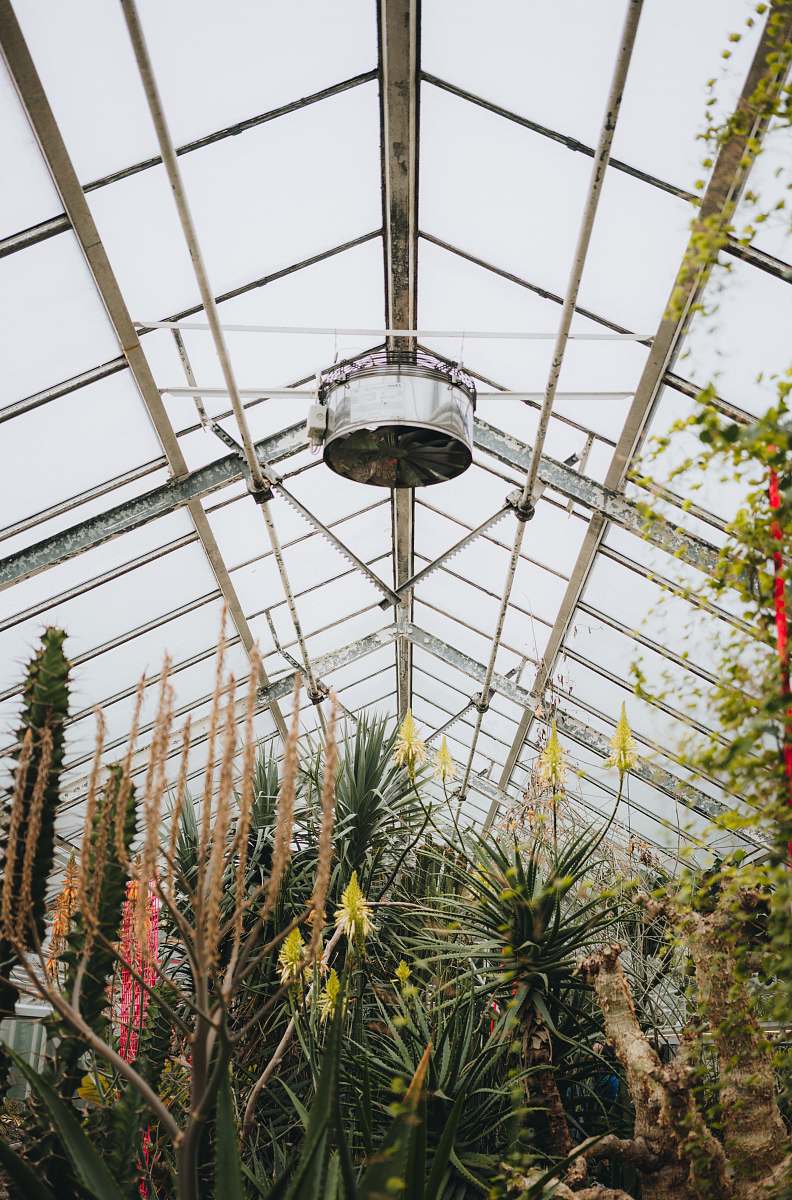building plants inside room window