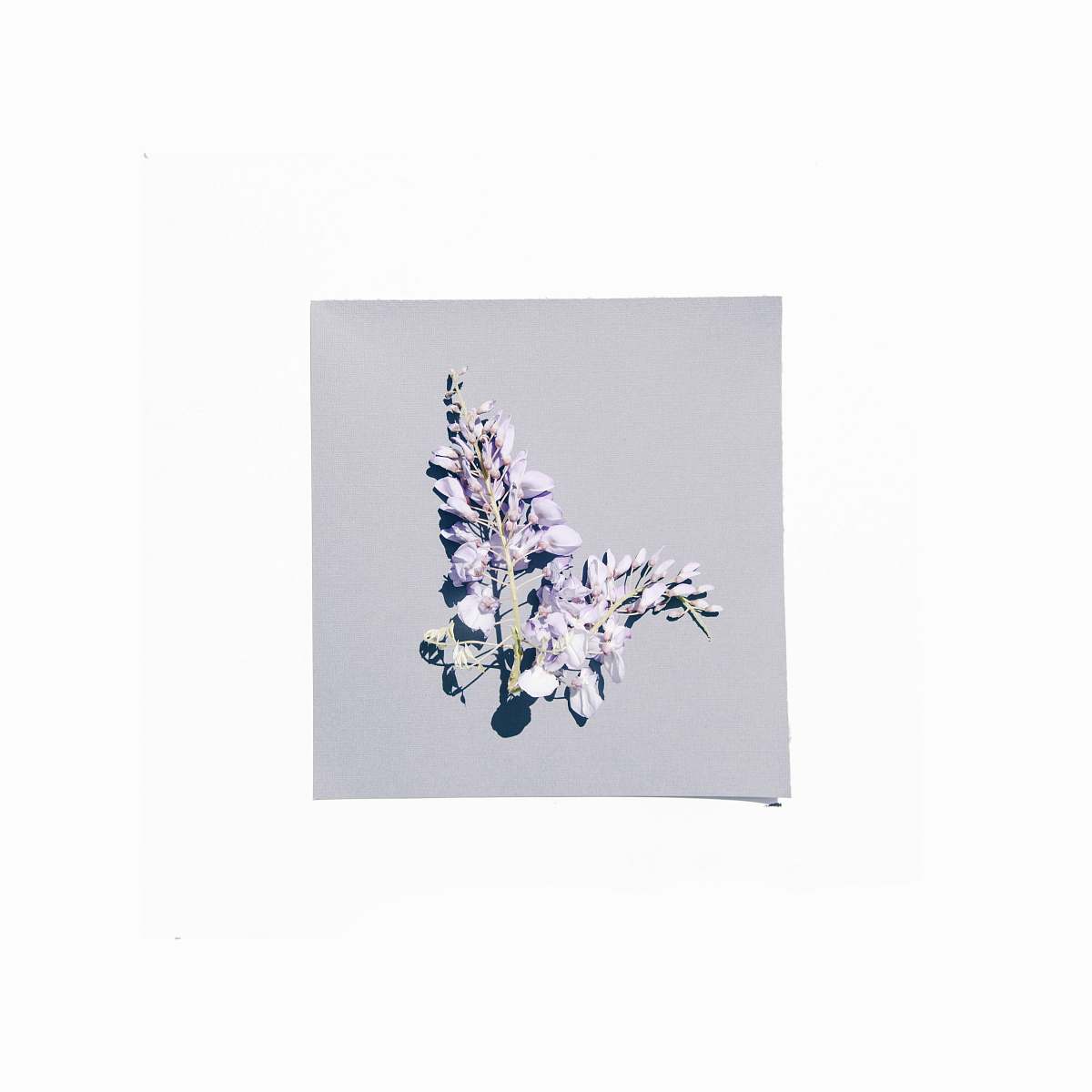 pottery purple-petaled flower porcelain