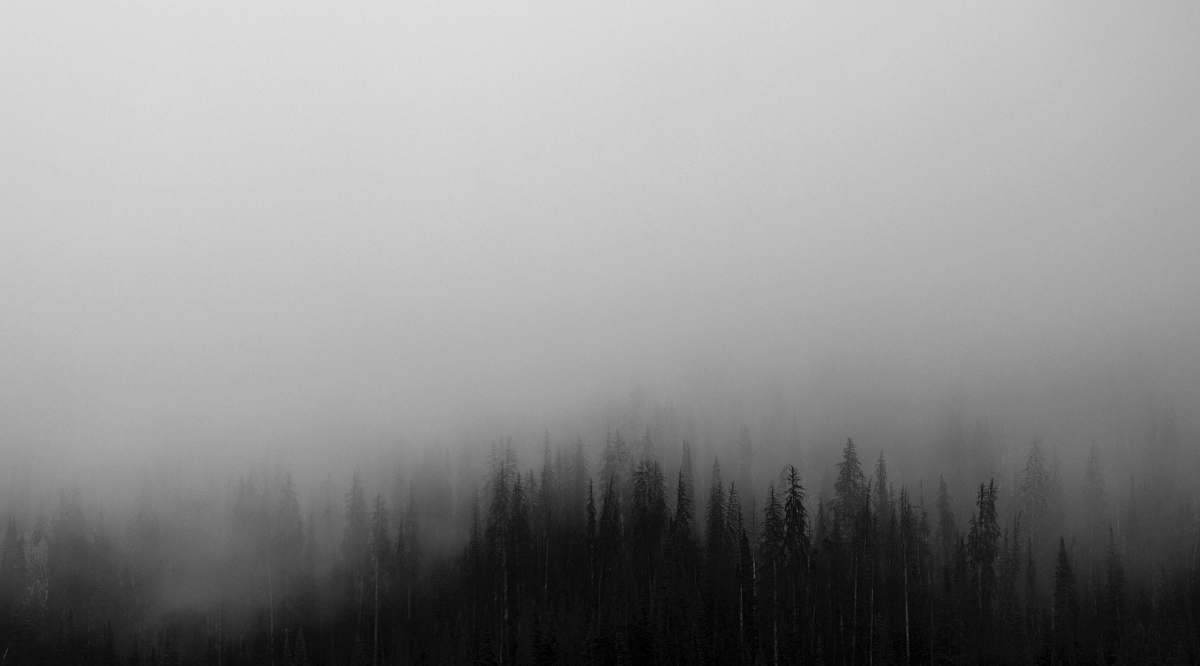 nature abstract painting fog