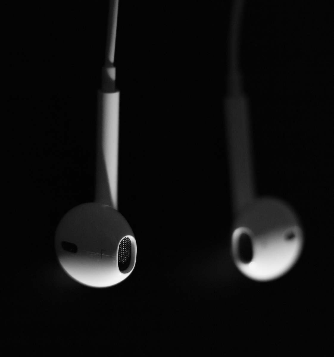 Earphones Apple EarPods Black Background Image Free Photo