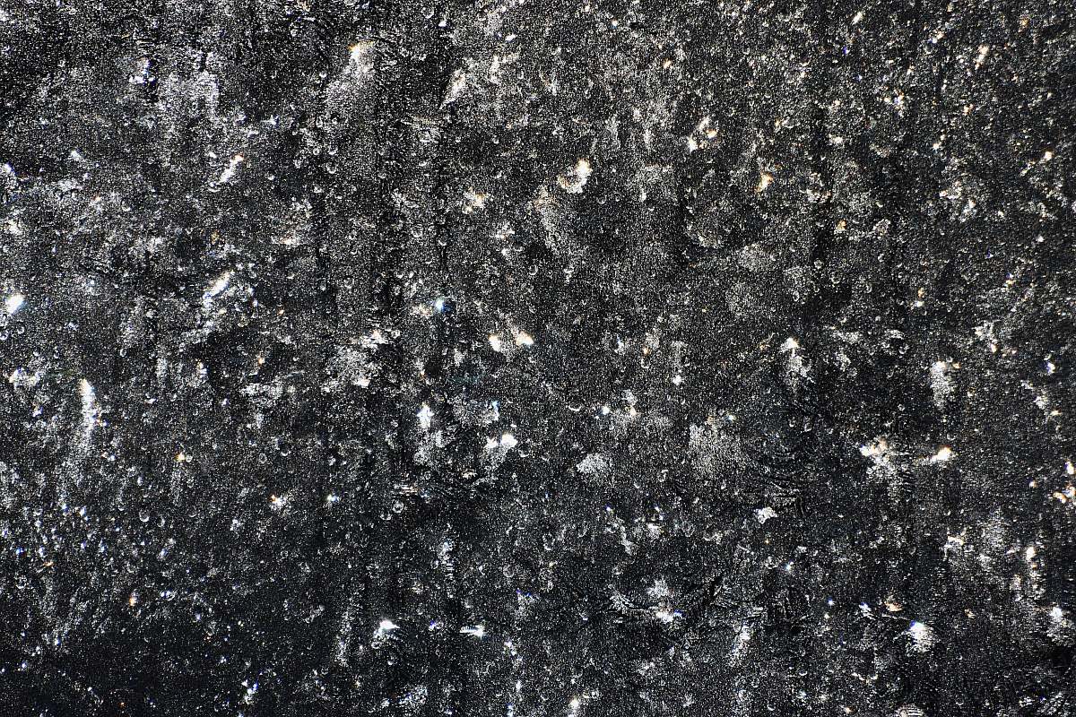 nature black and white floral textile grey