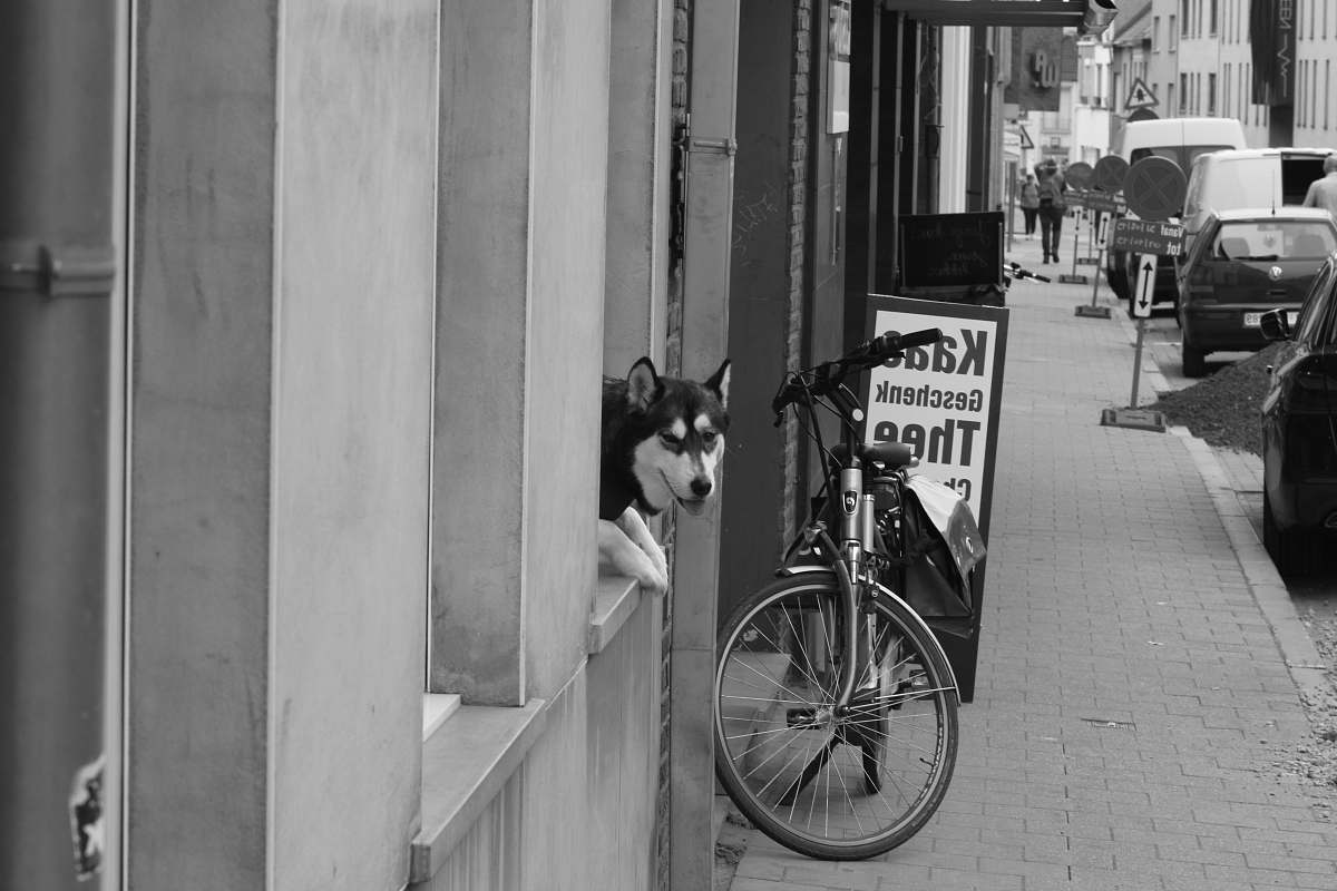 bike black bike beside building transportation