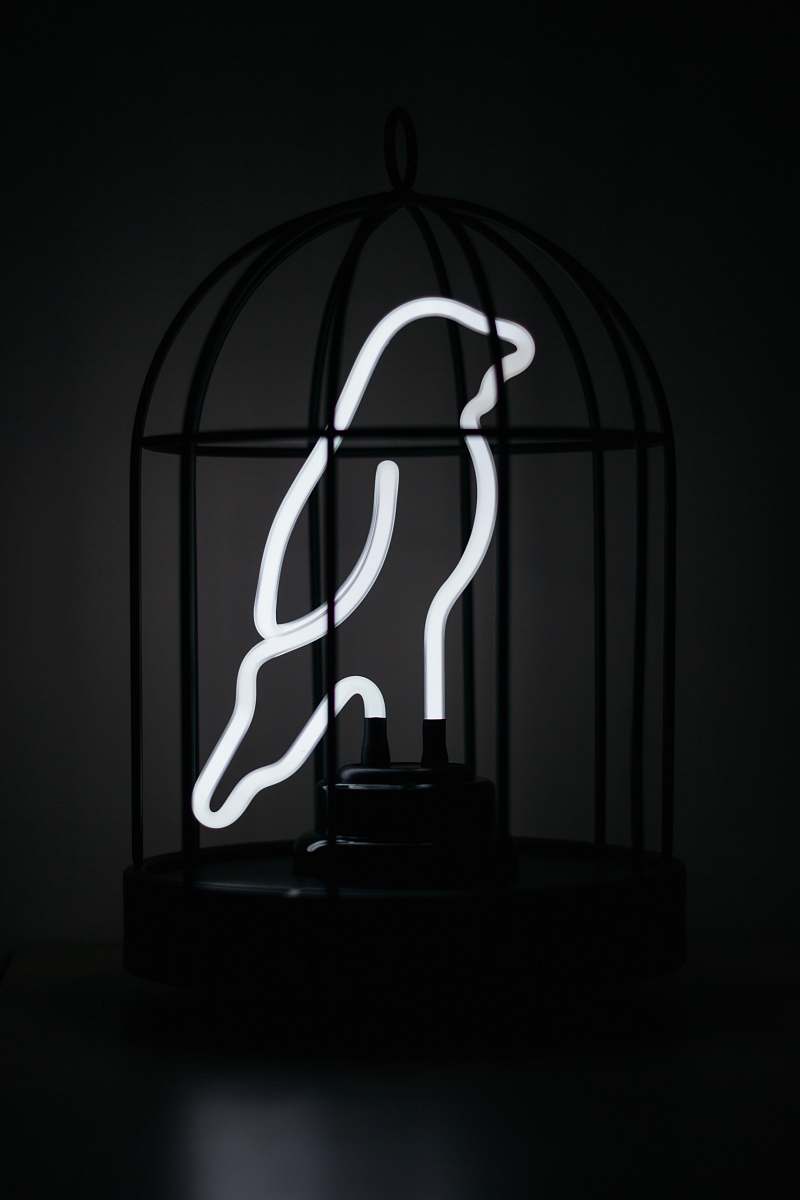 neon black birdcage and lighted bird decoir cage
