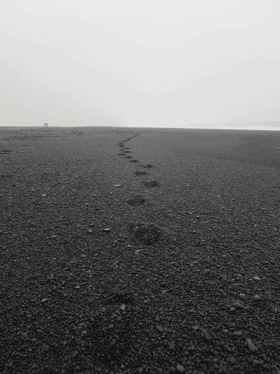 grey black sand and stones iceland