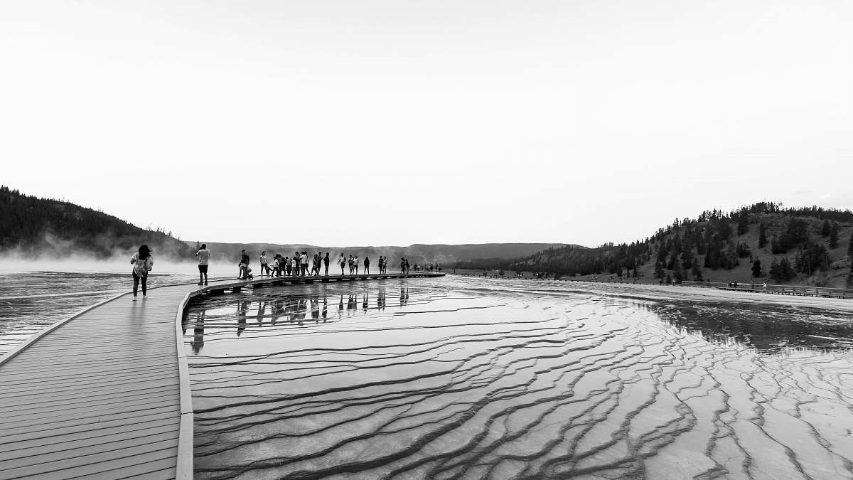 person body of water during daytime human