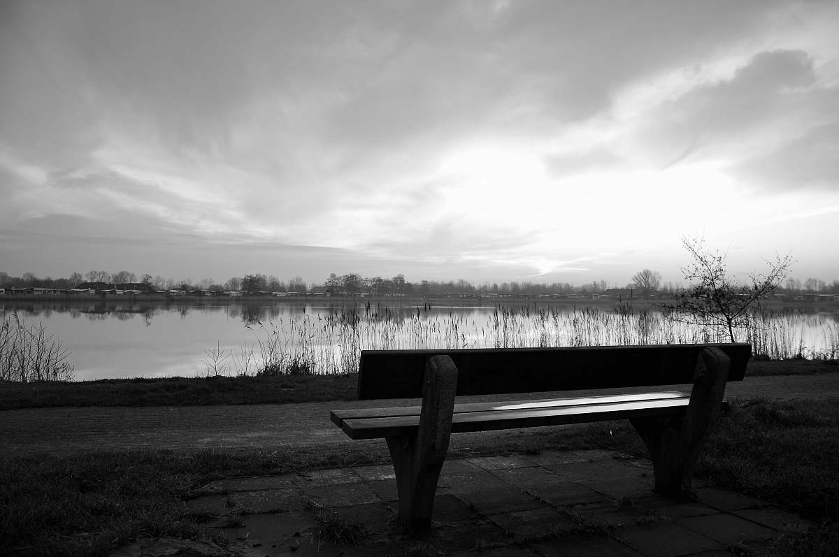 bench brown wooden bench furniture