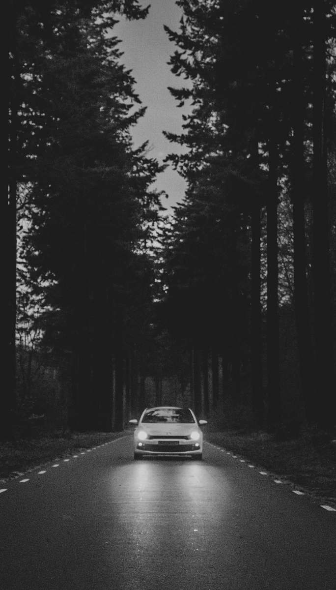 car car passing through road between trees transportation