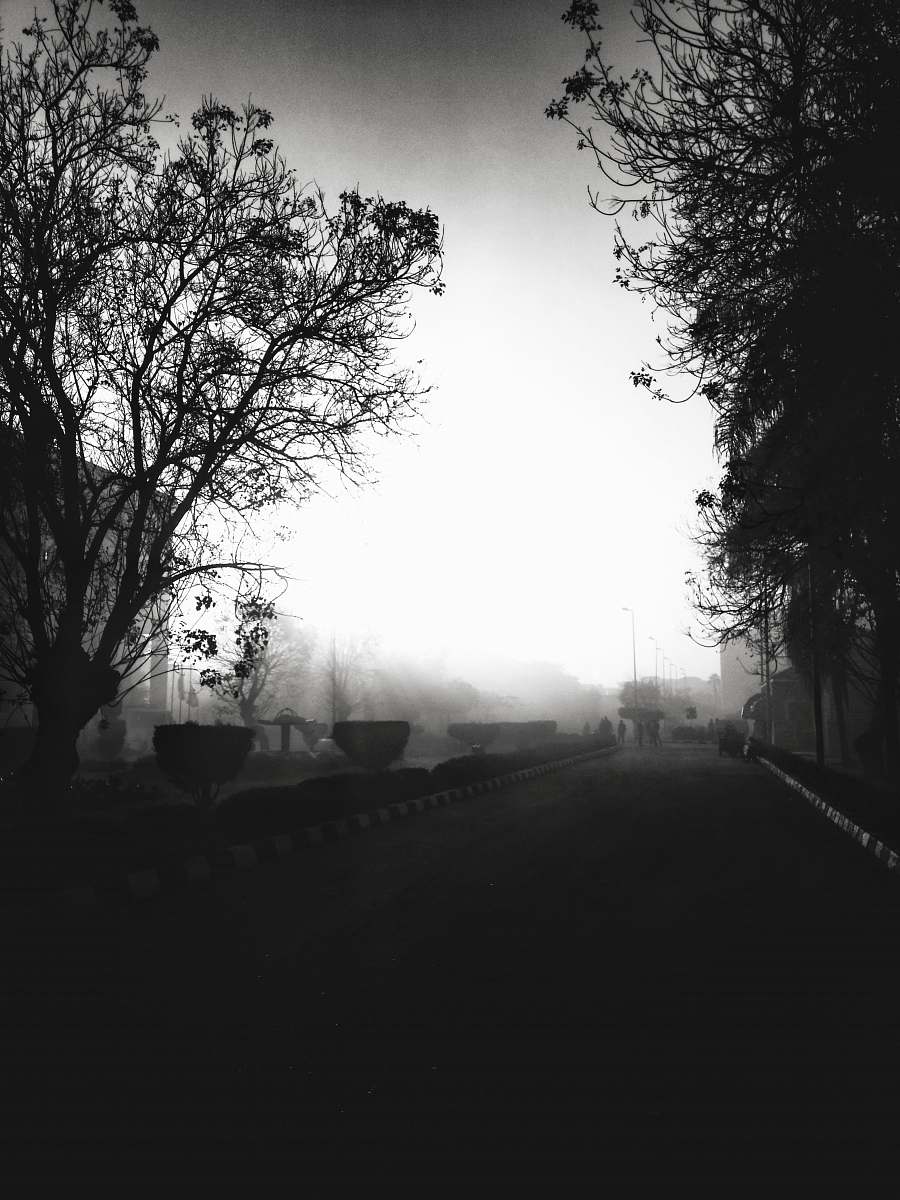 flare empty road light