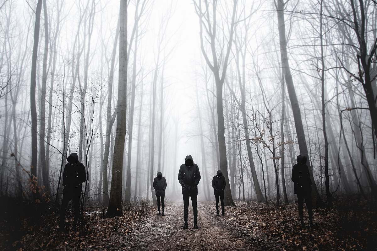 human five men wearing black hoodie standing on forest person