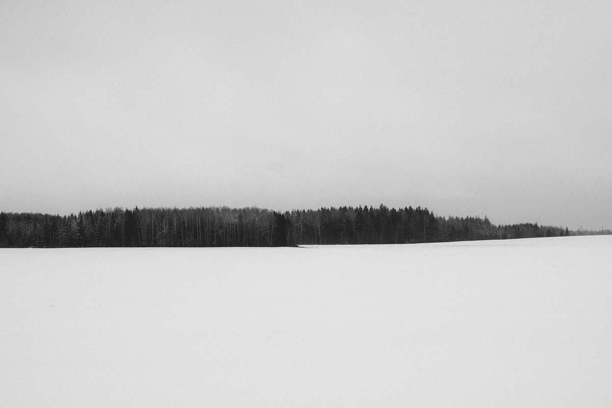 snow forest grayscale photography sigulda