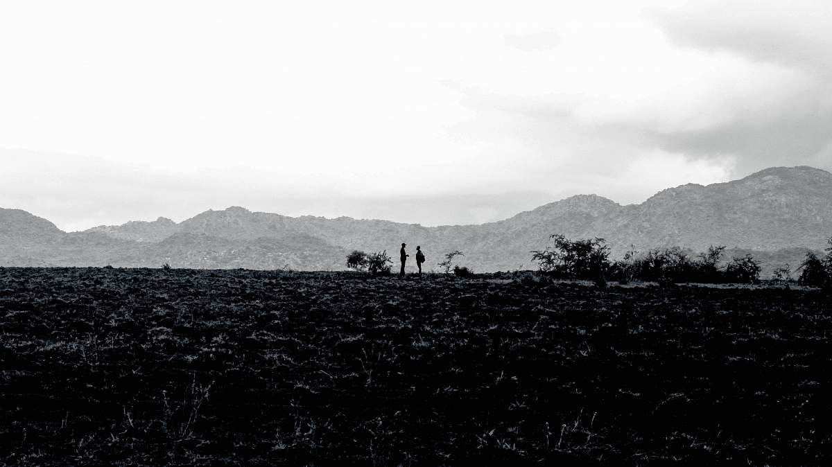 nature grascale photography of field and mountain outdoors