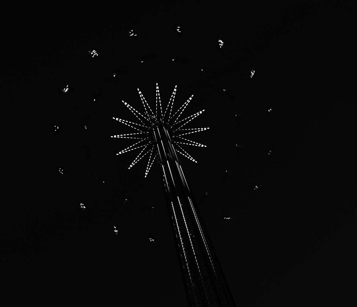 nature gray star illustration outdoors