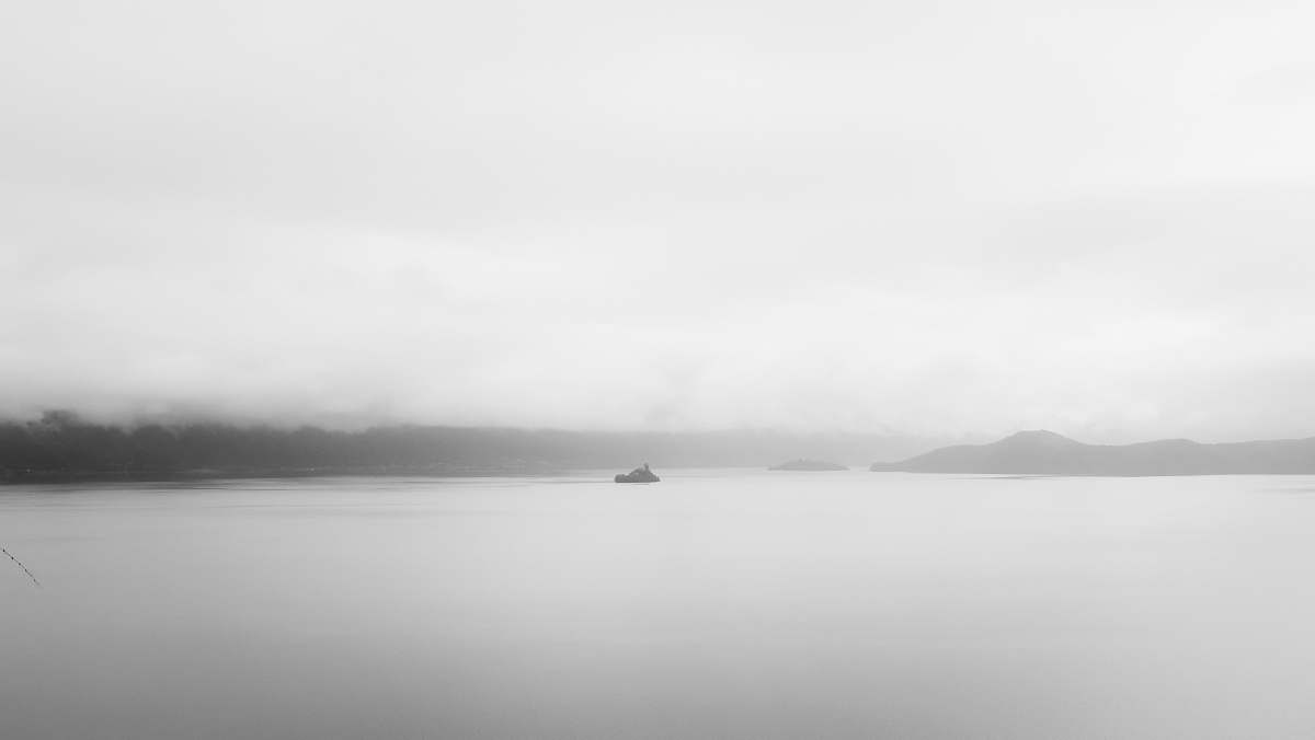 nature grayscale photo of a body of water fog
