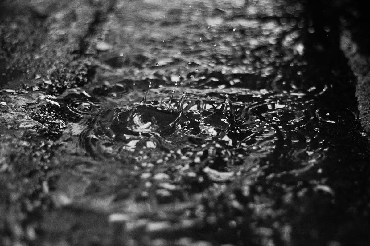 grey grayscale photo of a water dew water