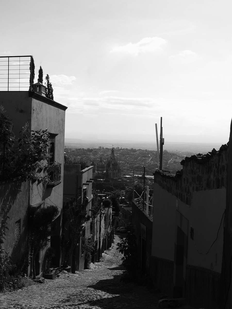 nature grayscale photo of alley between houses outdoors