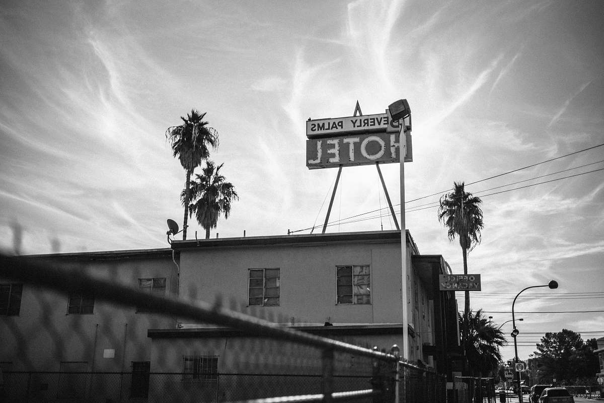 arecaceae grayscale photo of Beverly Palms Hotel palm tree