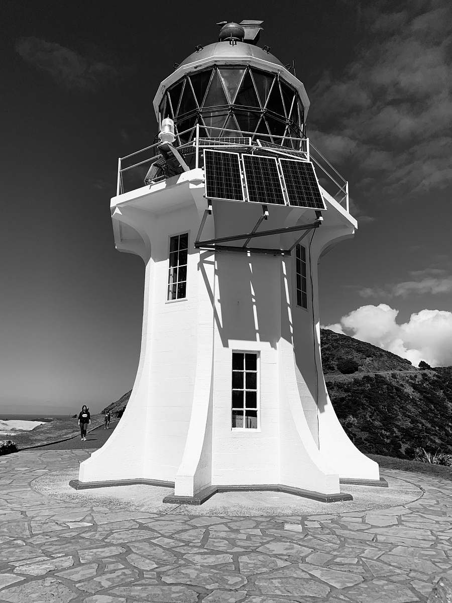 human grayscale photo of building person