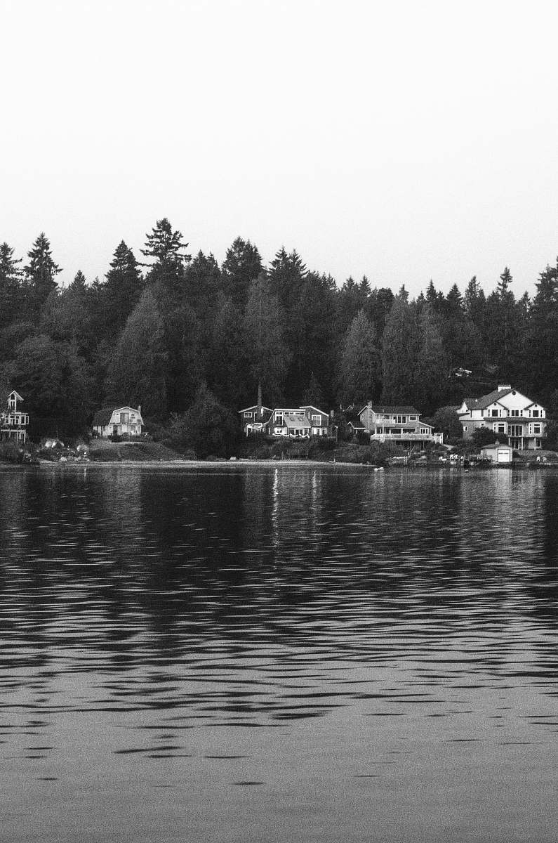 plant grayscale photo of building near body of water tree