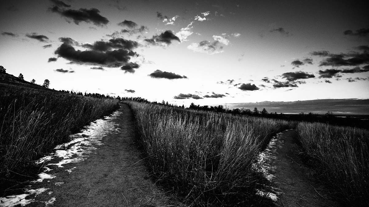 path grayscale photo of grass flat irons