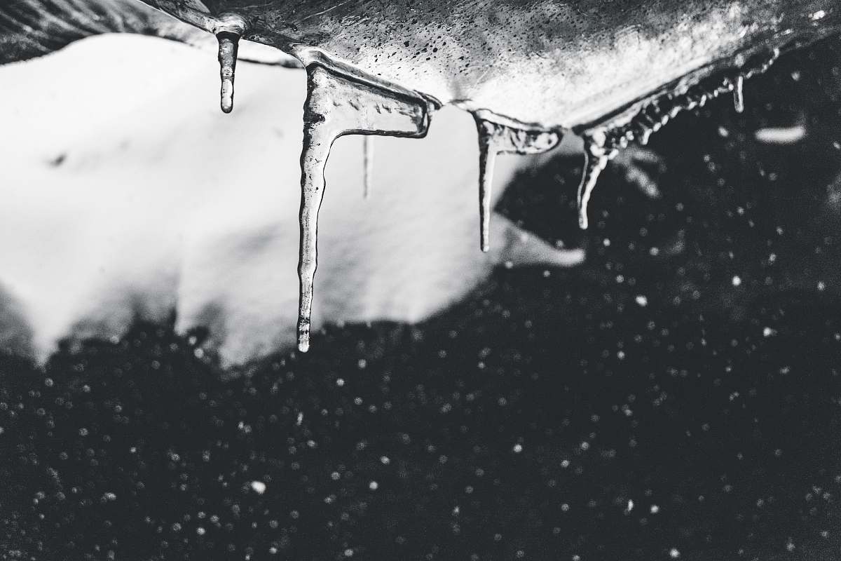 nature grayscale photo of ice outdoors