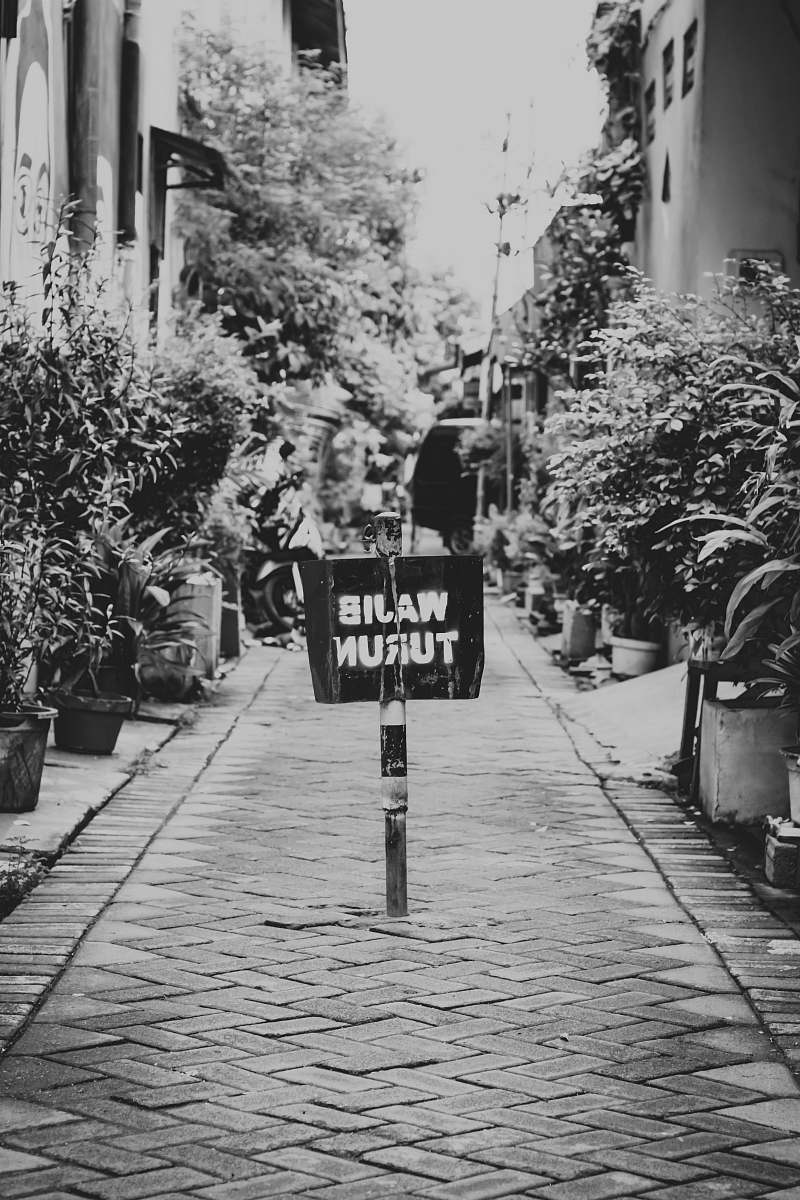 path grayscale photo of man riding horse street