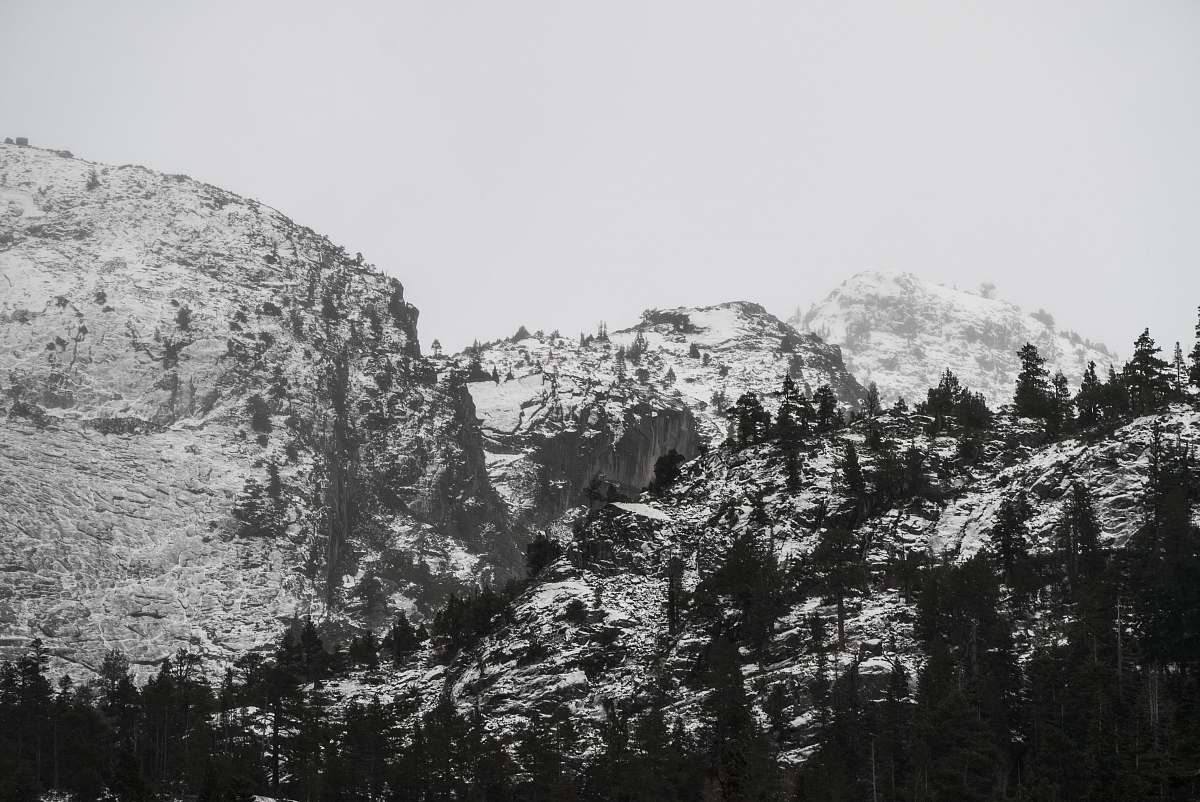 grey grayscale photo of pine trees and mountain mountain
