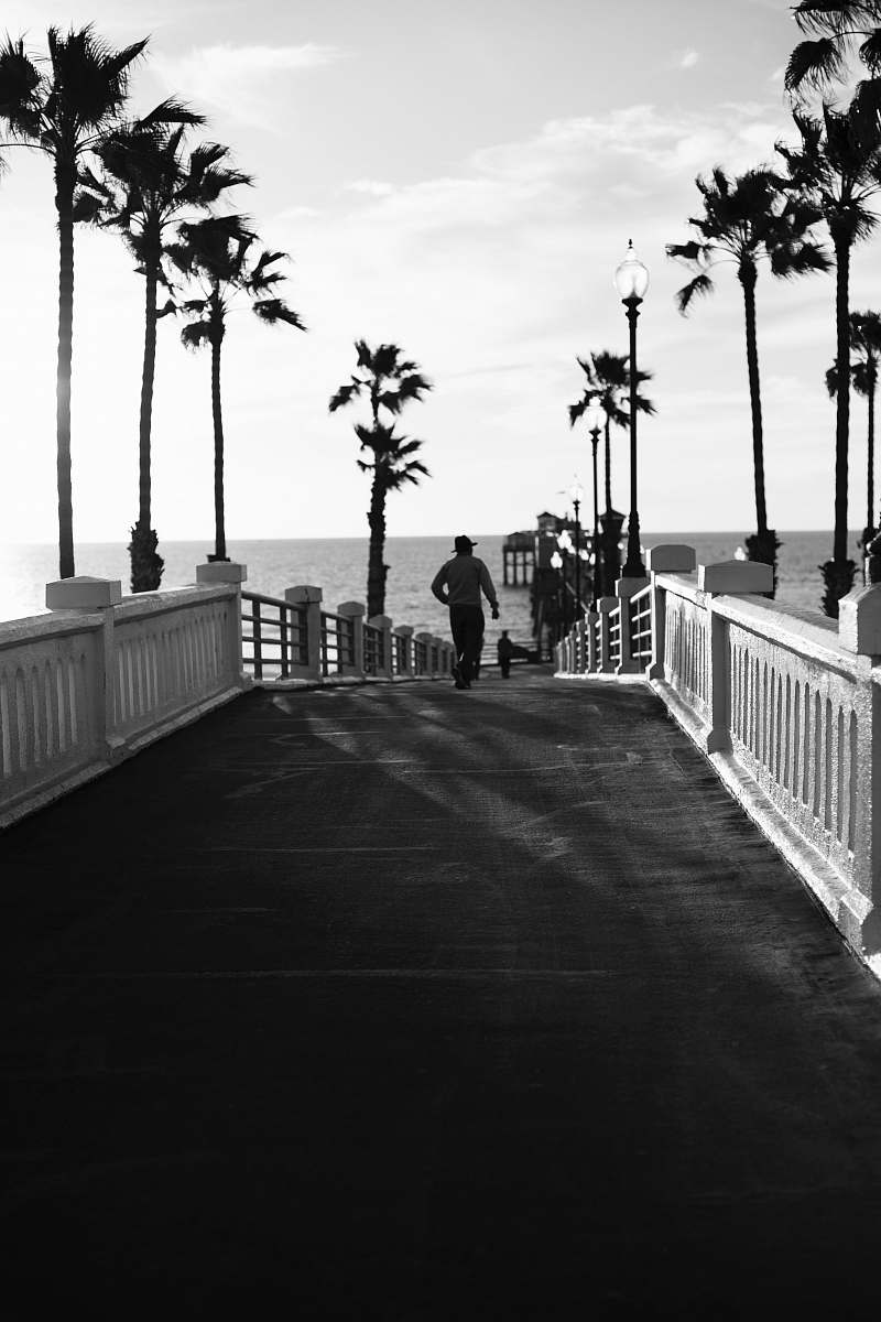 human grayscale photo of trees beside bridge railing