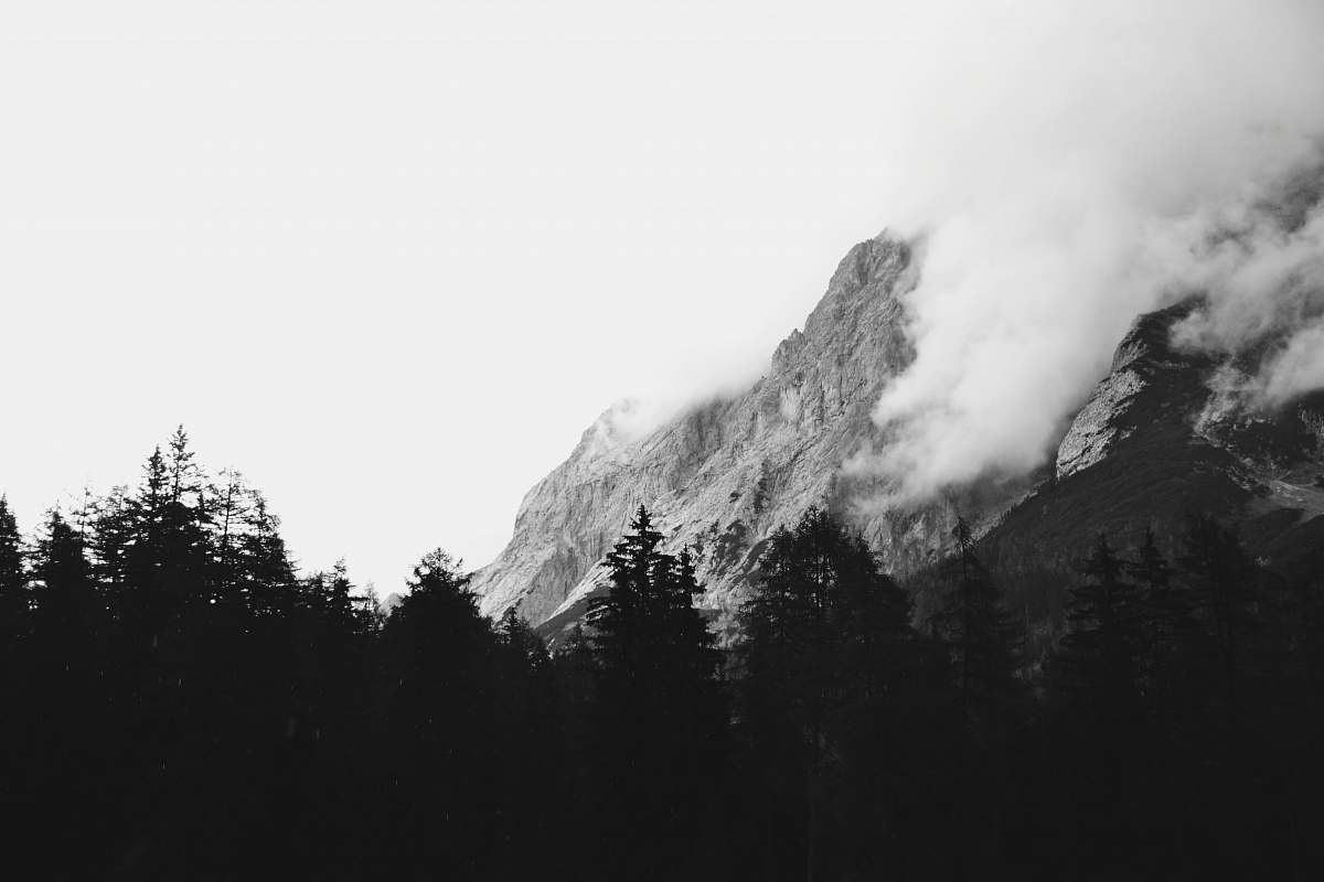 nature grayscale photograph of forest and mountain mountain