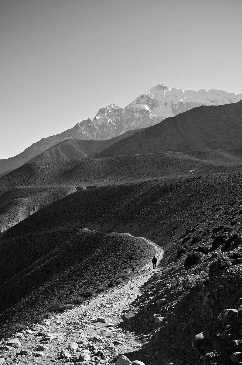 mountain grayscale photograph of mountain during daytime mountains