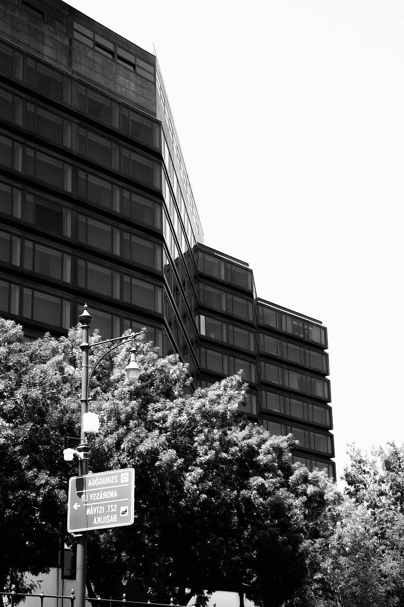 building grayscale photography of building near trees budapest