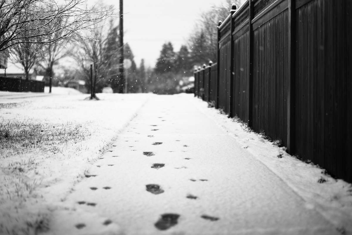 snow grayscale photography of footprints on snow city