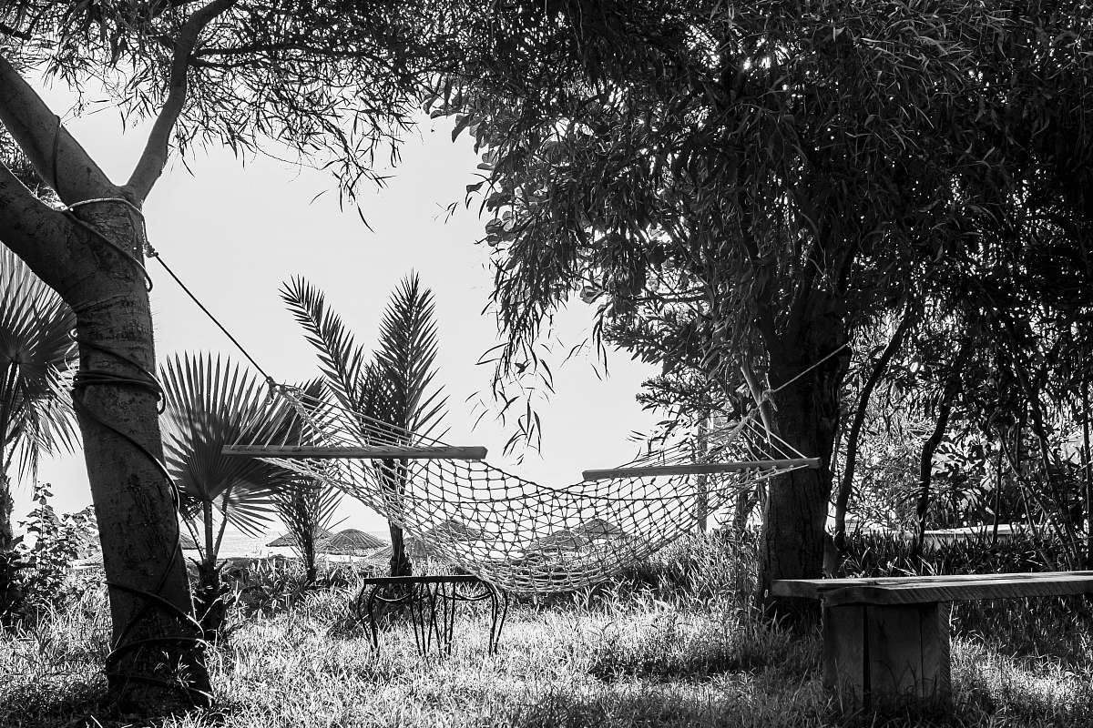 furniture grayscale photography of hammock plant