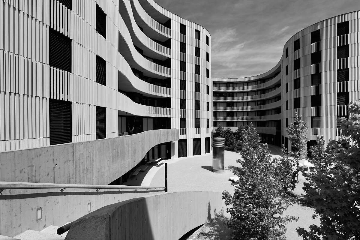 tree grayscale photography of high-rise buildings plant