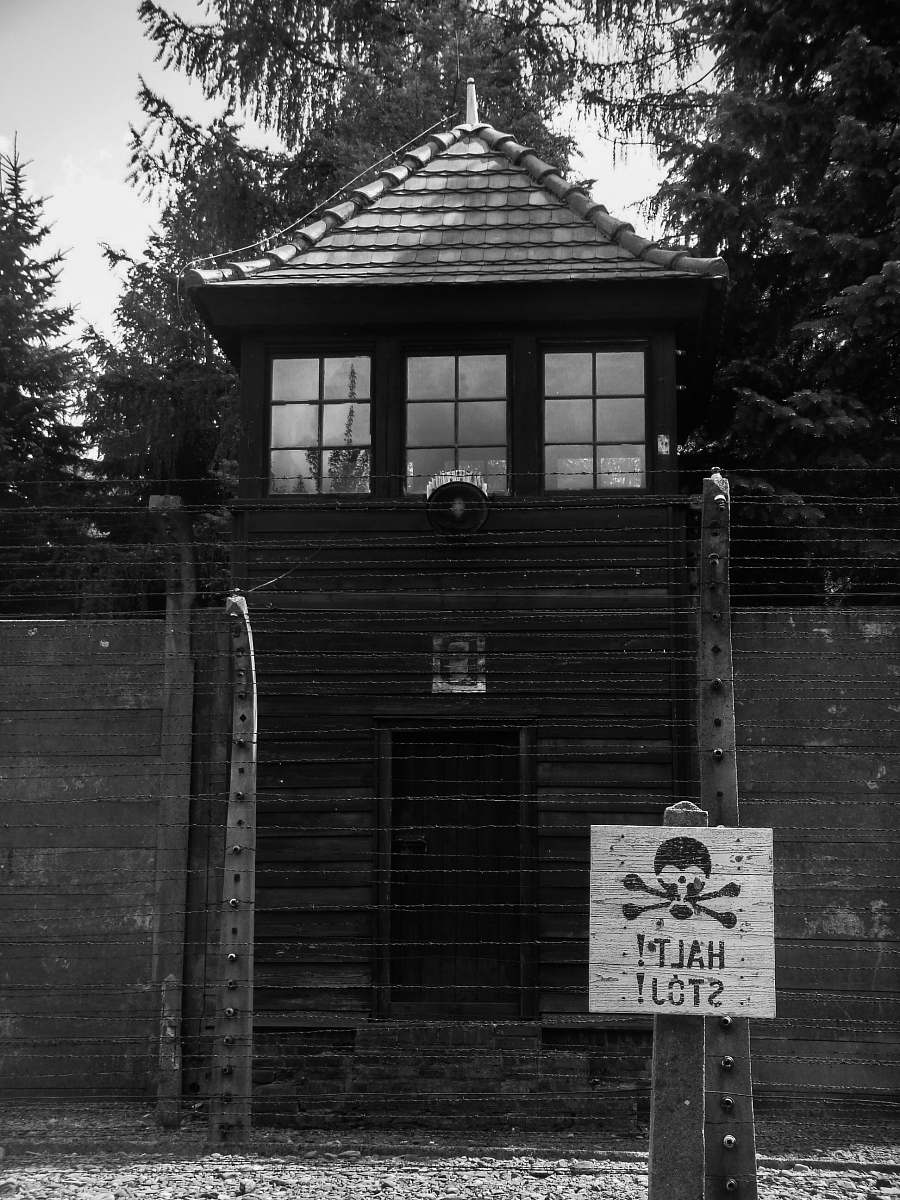 auschwitz grayscale photography of house black