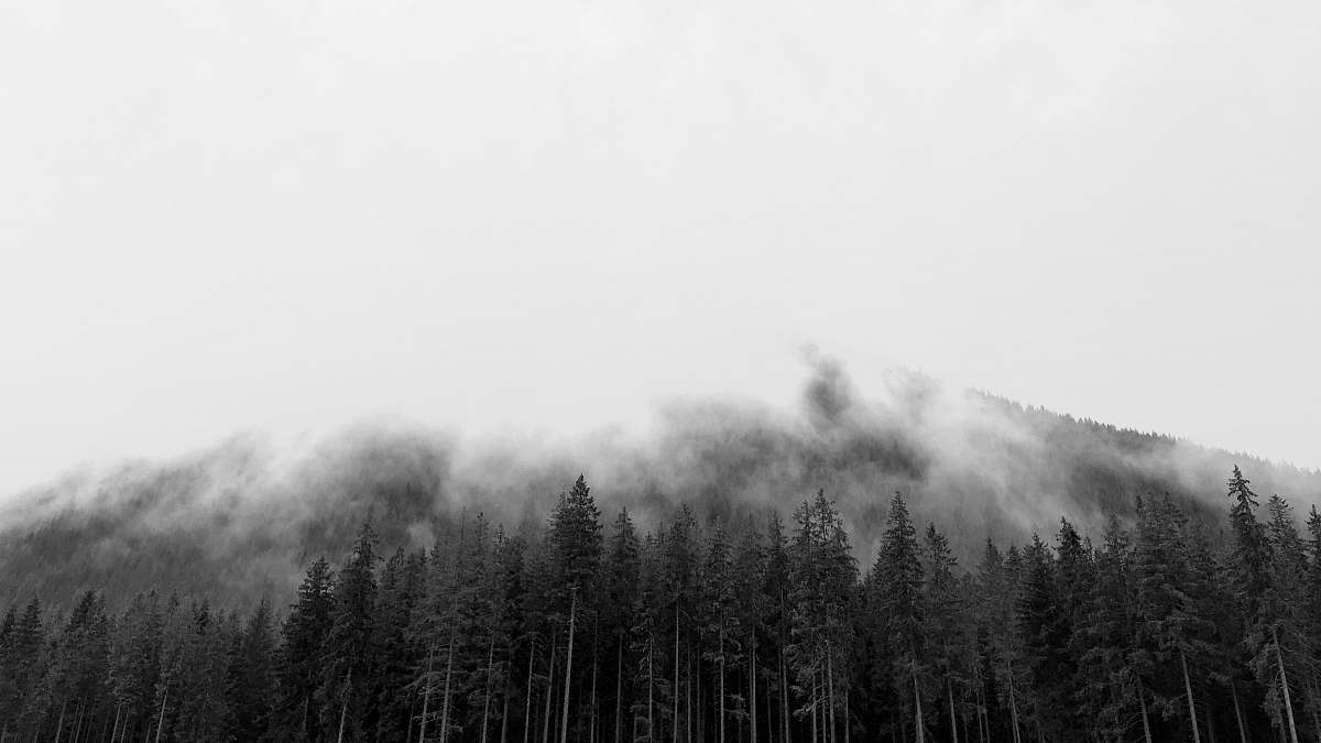 nature grayscale photography of mountain fog