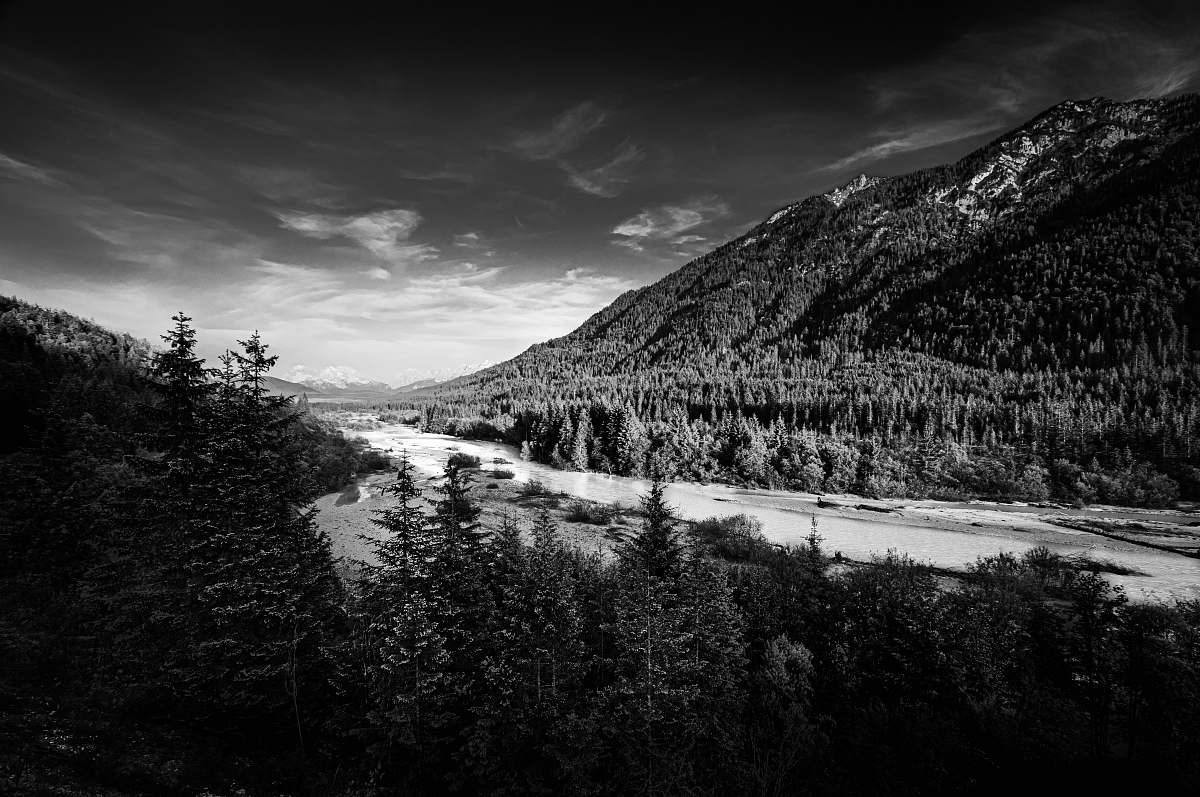 plant grayscale photography of mountains and river tree