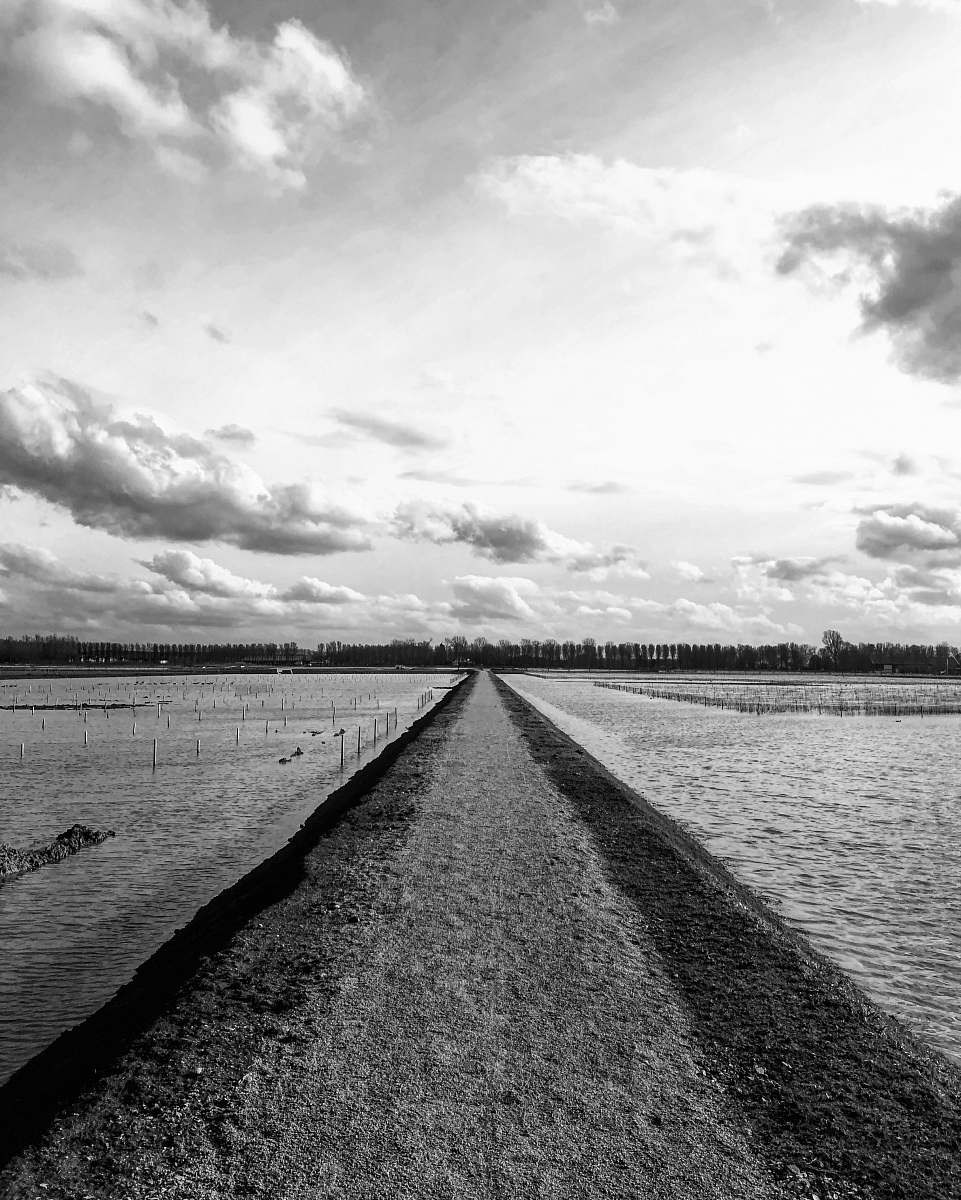 asphalt grayscale photography of road between body of water tarmac