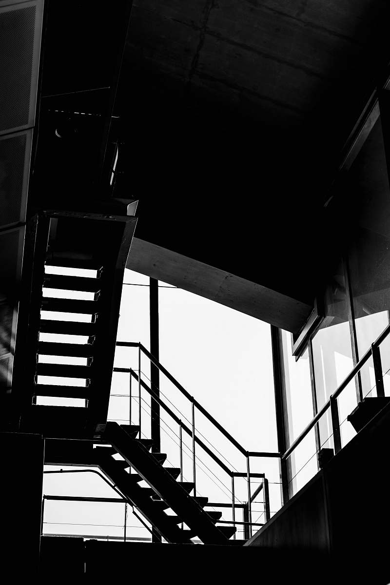 banister grayscale photography of stairs handrail