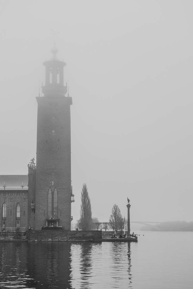 grey grayscale photography of tower nature