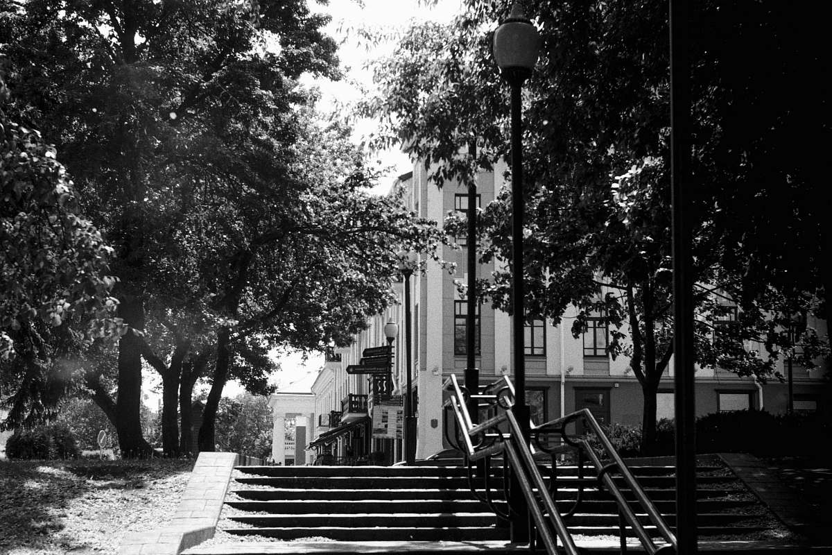 banister grayscale photography of trees handrail