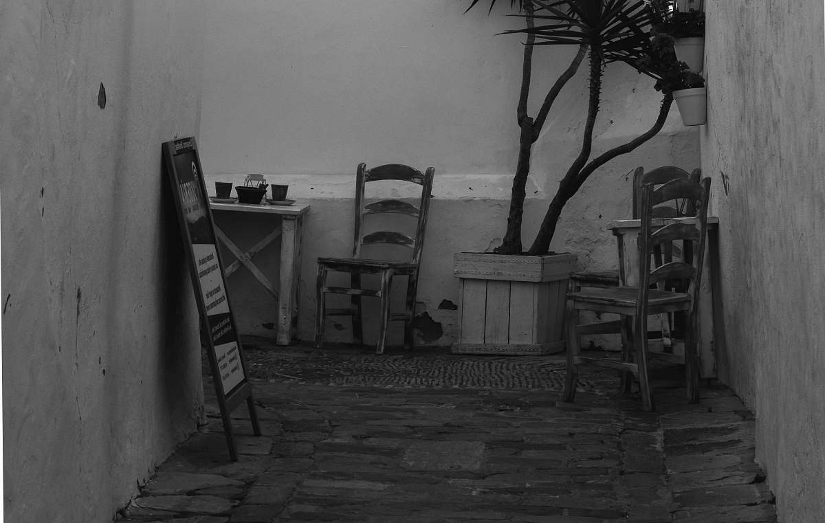 chair grayscale photography of wooden ladderback chairs and potted plant furniture