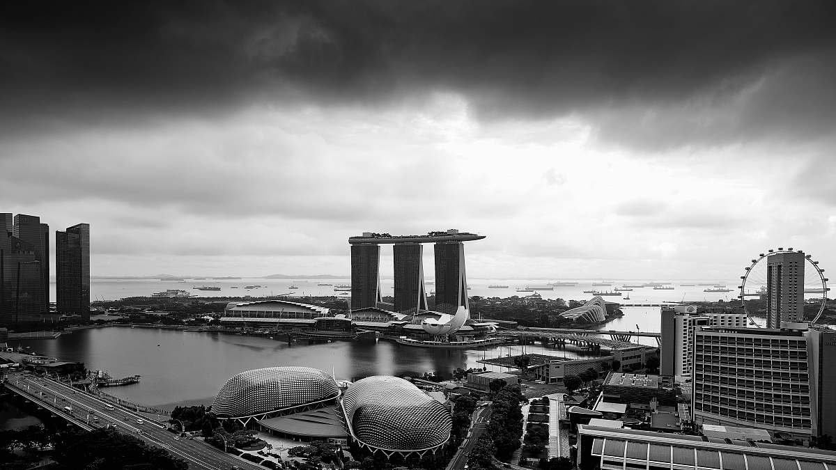 building greyscale photography of building singapore