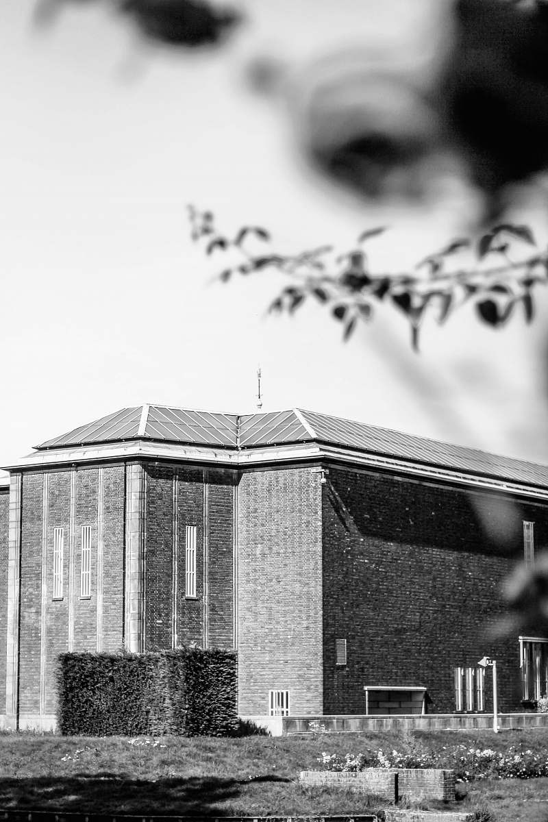 plant greyscale photography of building tree