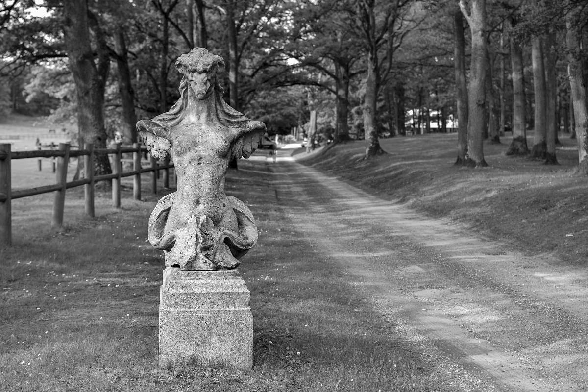 grey greyscale photography of statue plant