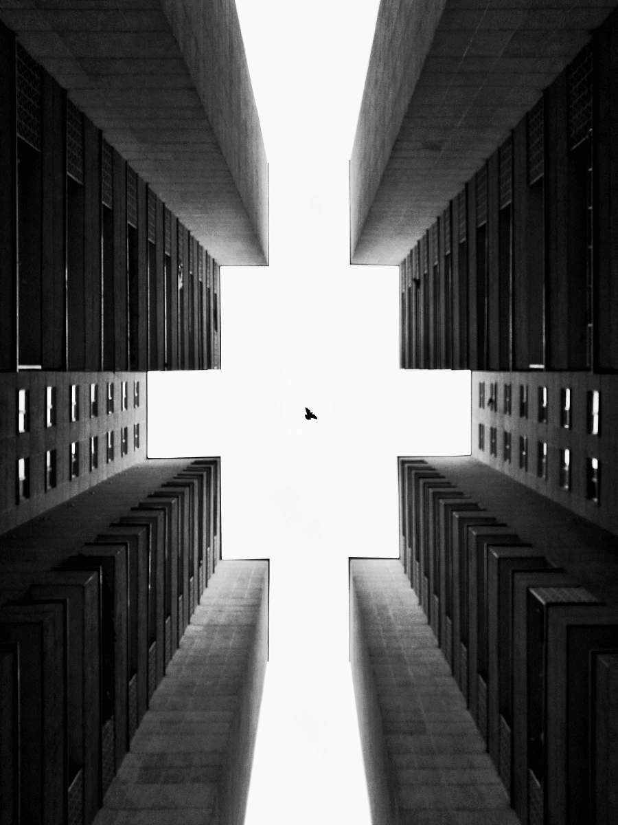 building low-angle grayscale photography of bird in flight over tall buildings corridor