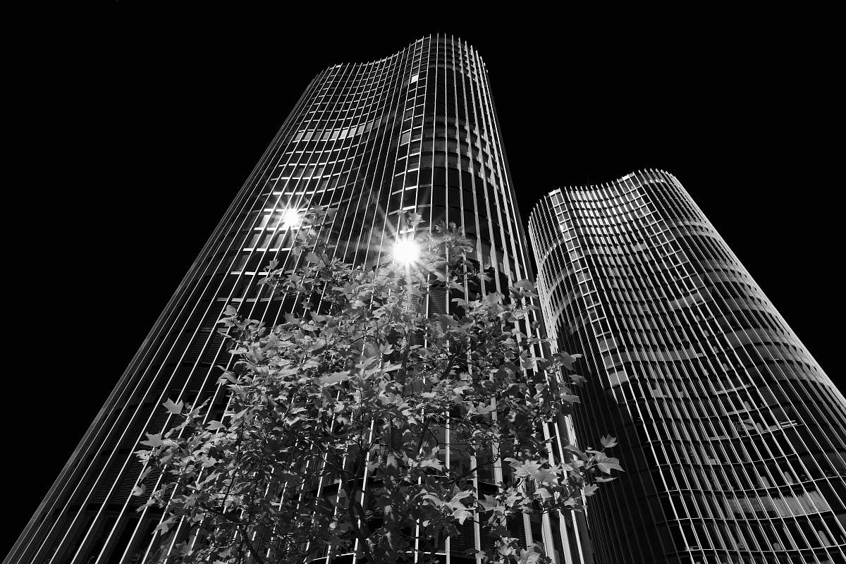 building low angle photo of building at night office building